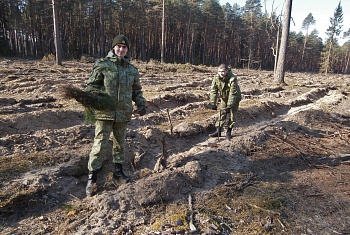 Военнослужащие Института приняли участие в "Недели леса" 